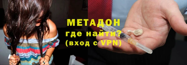 прущие грибы Абаза