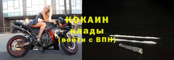 хмурый Алексин