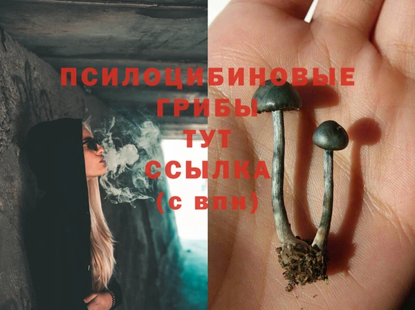 спайс Алексеевка
