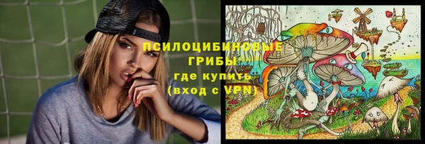 прущие грибы Абаза