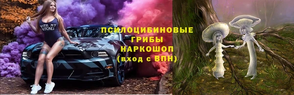 мет Арсеньев