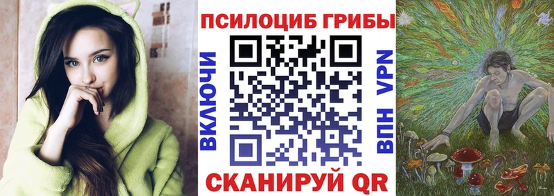 ОМГ ОМГ   Сокол  Галлюциногенные грибы MAGIC MUSHROOMS  где найти  